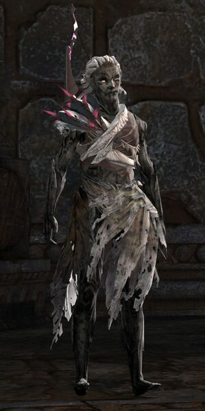 File:Awakened Sylvari 2.jpg