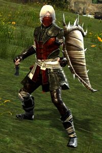 Bandit Guard.jpg