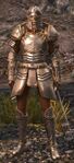 Ebon Vanguard Warrior M2 (shield).jpg