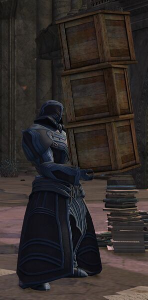 File:Explorer Niel (crates).jpg