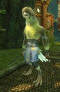 Gloster Canary Tengu (swords).jpg
