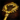 Golden Black Lion Chest Key.png