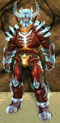 Holographic Dragon armor norn male front.jpg