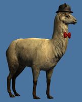 Mini Lavish Llama.jpg