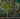 Serpent Stones map.jpg
