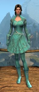 Appearance on light armor.