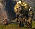 Veteran Ettin.jpg