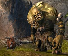 Veteran Ettin.jpg
