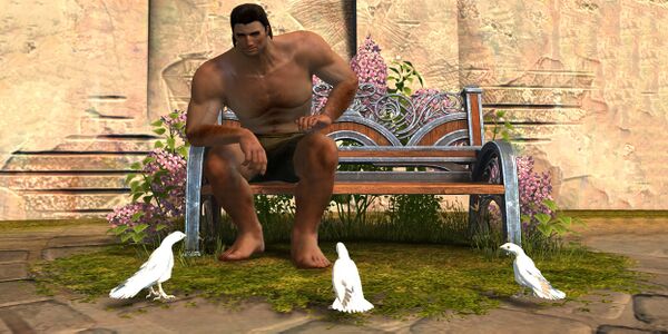 Dove Lover's Bench Chair norn male.jpg