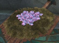 Eggs.jpg