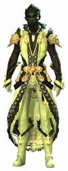 Exalted armor sylvari male front.jpg