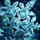 Flawless Snowflake.png