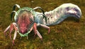 Forest Grub.jpg