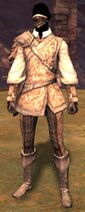 Medium armor professions of humans, norn, and sylvari