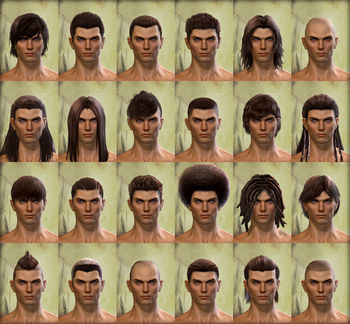Human male hair styles.jpg