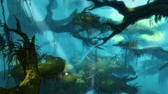 Jungle Anomaly.jpg