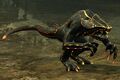 Jungle Skelk Lurker.jpg
