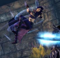 Nika in action.jpg