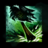Plant Scarecrow.png