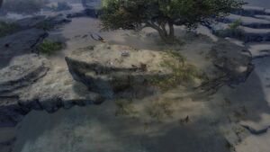 Priory Historian Elisa (Champion's Gap) location.jpg