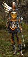 Seraph Soldier female 2.jpg