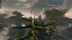 Verdant Brink Insight- Thistlevine Ravine.jpg