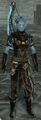 Vigil sylvari male light 2.jpg
