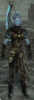 Vigil sylvari male light 2.jpg