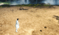 Skill animation.
