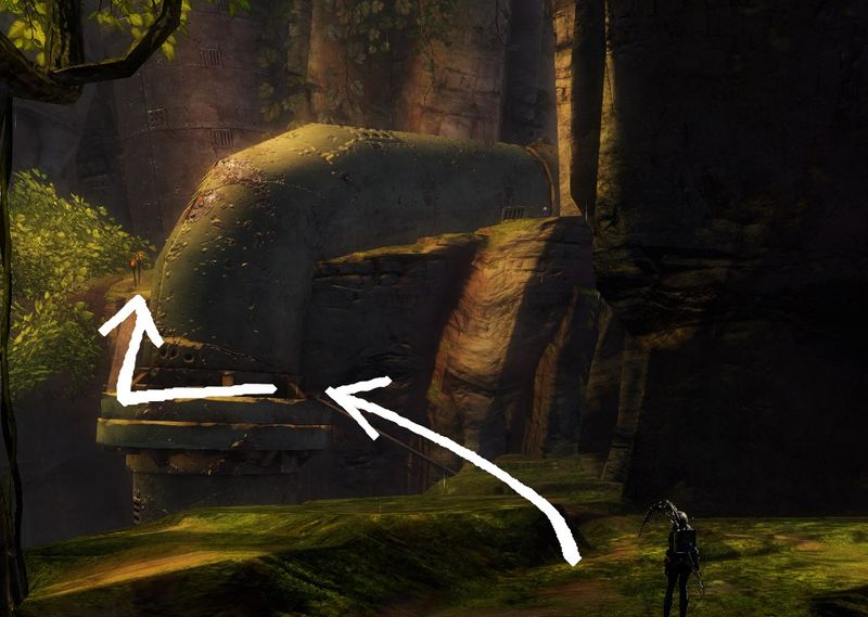 File:"Where's Balthazar" mushrooms 4.jpg