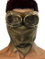 Adventurer's Mantle.jpg