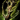 Druid's Staff.png