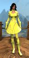 Iboga Dye
