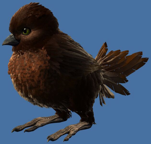 File:Mini Brown Cuckoo Hatchling.jpg