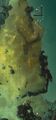Thumbnail for version as of 01:22, 11 March 2024