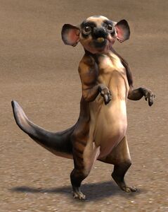 Prairie Dog.jpg