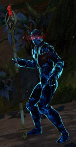 Savant Ehrin.jpg