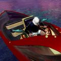 Selachimorpha while riding Skiff