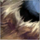 Torn Rag.png