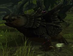 Void Wallow.jpg