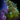 Basic Shrub.png