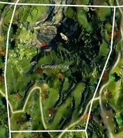 Canopy Crag map.jpg