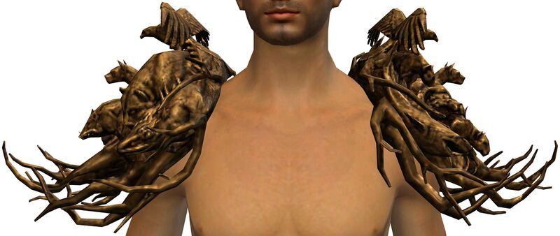 File:Druid's Shoulderguards.jpg