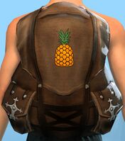 Guild Backpack.jpg