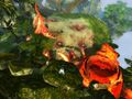 Thumbnail for version as of 21:48, 24 August 2023