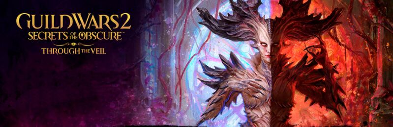 File:Through the Veil (release) banner.jpg