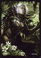 Sylvari 1/5: Caithe by Kekai Kotaki