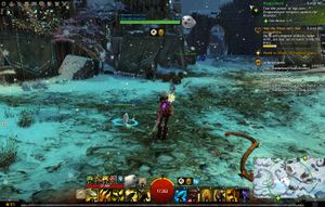 User Paradrop Dragonsblood.jpg