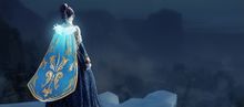 Winter Monarch Cape (package) banner.jpg