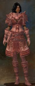 Appearance on medium armor.